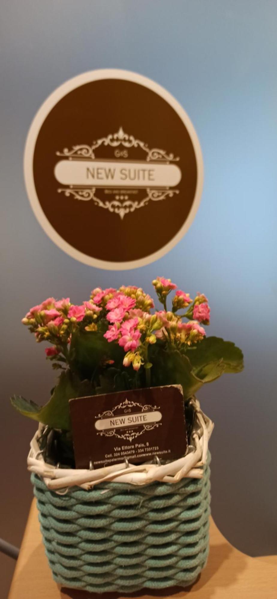 New Suite Palermo Exterior photo